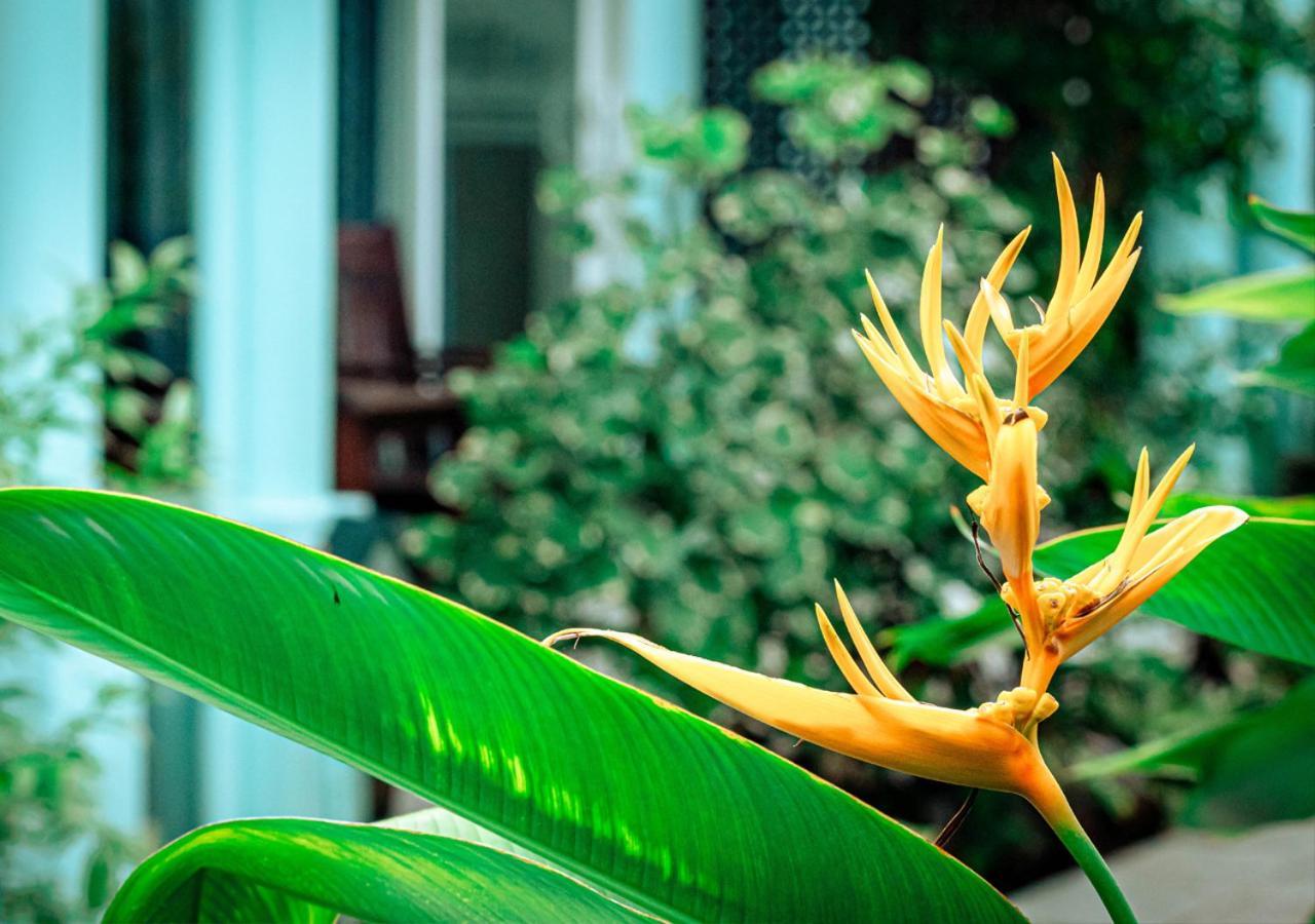 Sunlight Bungalow Phu Quoc Bagian luar foto