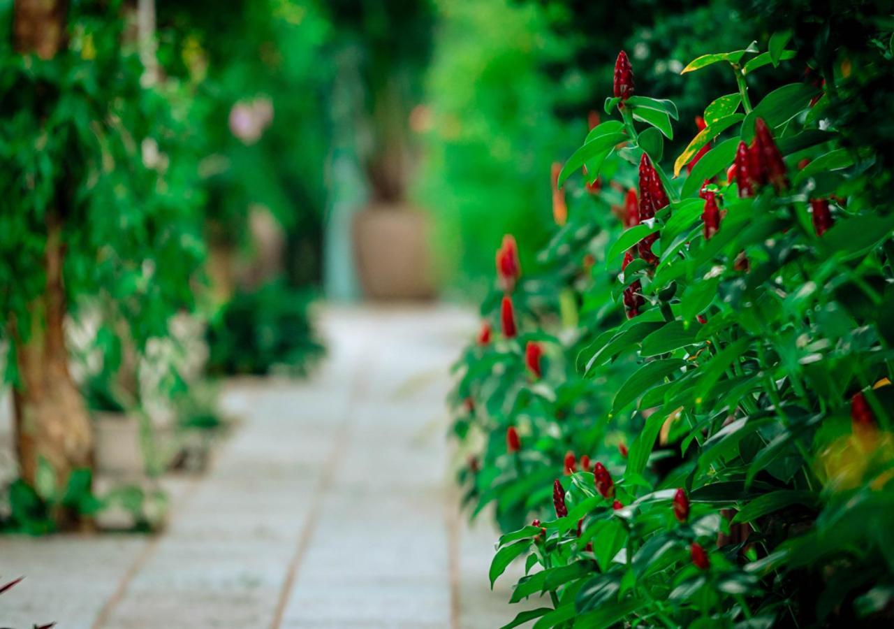 Sunlight Bungalow Phu Quoc Bagian luar foto
